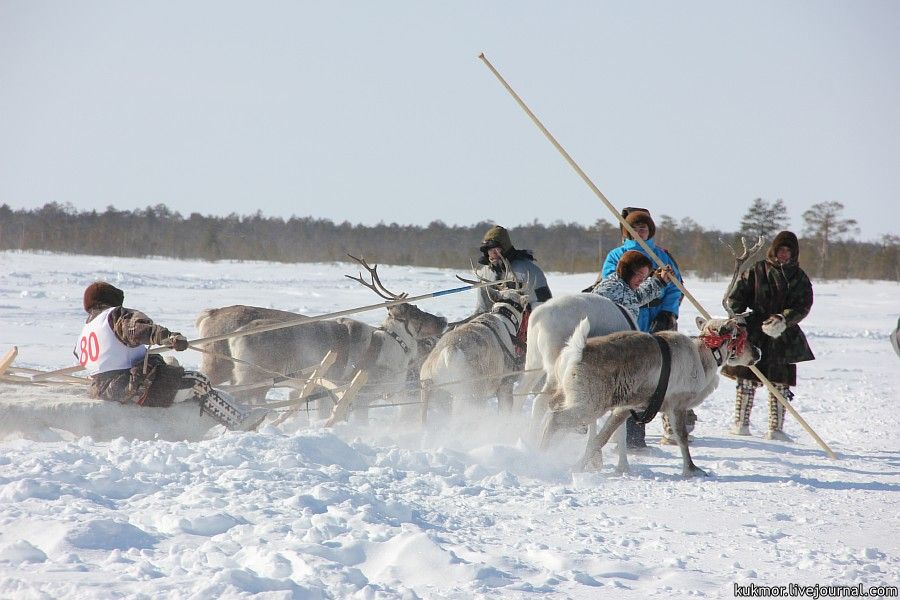 The central entertainment of the celebration is a race with a great prize, a snowmobile Buran. Somet...