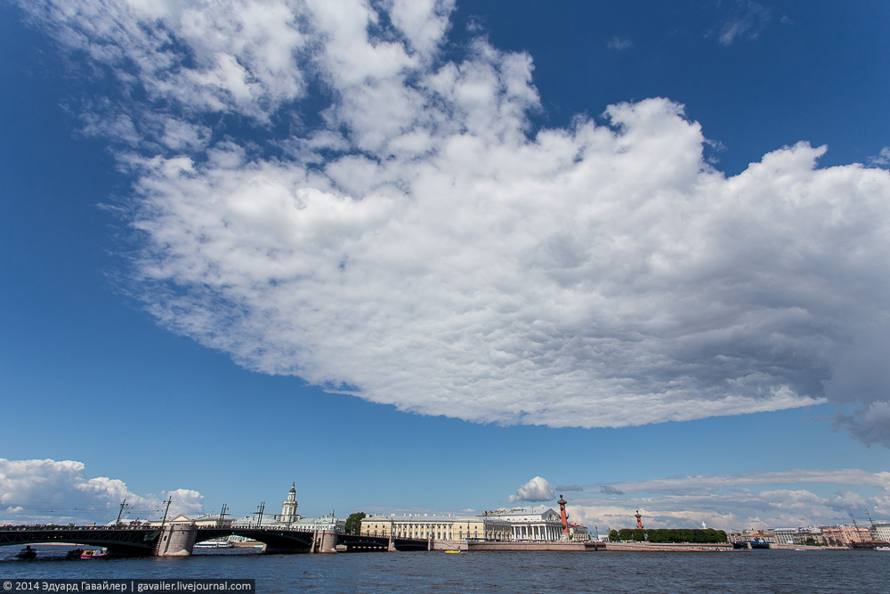 The view at Vasilyevsky Island and the Palace Bridge.